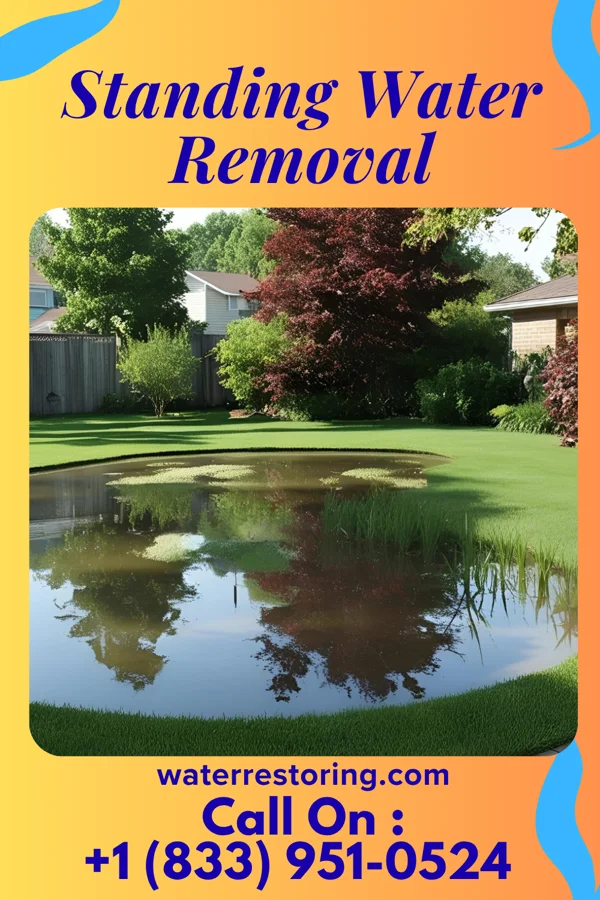 Standing Water Removal in Disney, OK